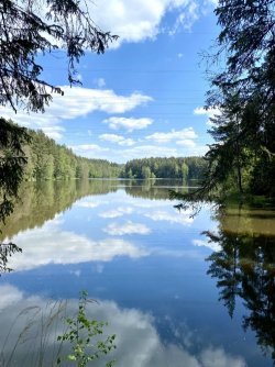 IMG_8495.jpeg