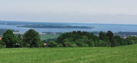 IMG_20240511_121948.jpg