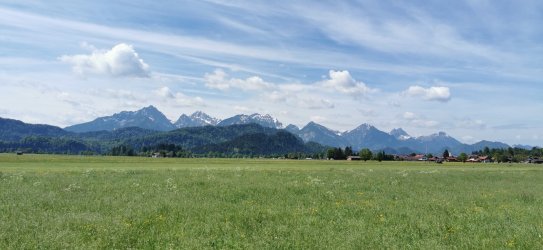 IMG_20240512_113836.jpg