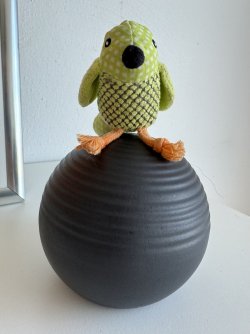 IMG_7889.jpeg