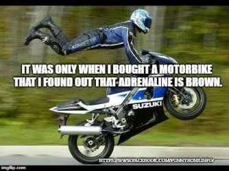 IMG_5039.jpeg