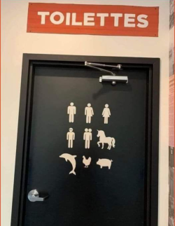1697737001351.png