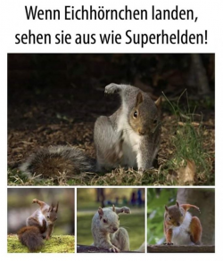 1654282545425.png