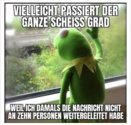 IMG_7195.jpeg