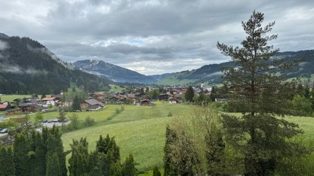 IMG_8007.jpeg
