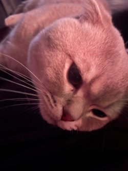 IMG_4417.jpeg