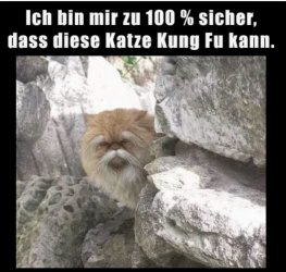 IMG_2648.jpeg