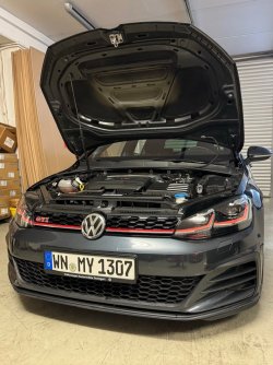 IMG_8049.jpeg
