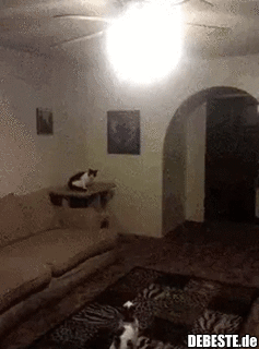 28c925527e51b41a4471b5f1c8994cc14231.gif