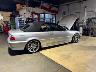 IMG_5799.jpeg IMG_5799.jpeg