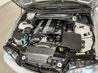 IMG_5266.jpeg IMG_5266.jpeg