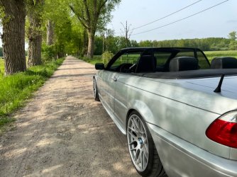 IMG_7087.jpeg IMG_7087.jpeg