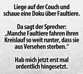 Faultiere.jpg