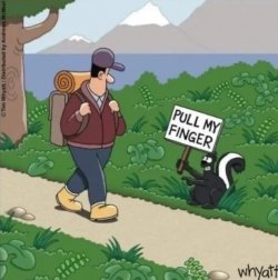 Funny Skunk.jpg