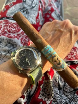 IMG_7885.jpeg IMG_7885.jpeg