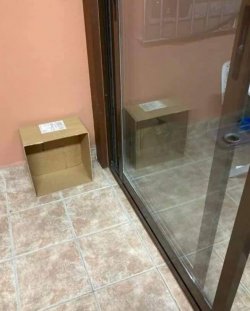 Schrödingers Katzenbox.jpg