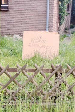 Bildschirmfoto 2024-05-23 um 09.43.43.png