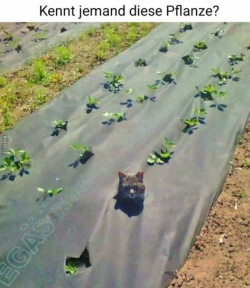 1716482145251.png