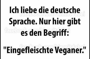 WhatsApp Bild 2024-05-24 um 07.48.18_cfaa4f3a.jpg