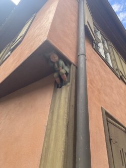 IMG_2761.jpeg