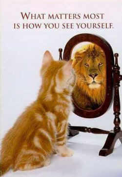 cat-lion.jpg