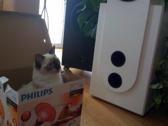Foto.jpg