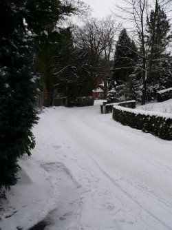 Winter 3.JPG