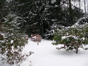 Winter 1.jpg