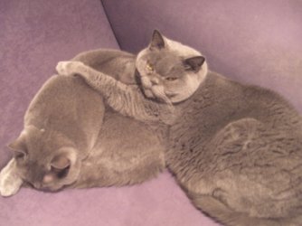BILD0780.jpg