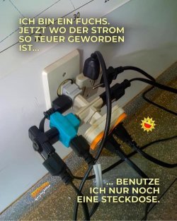 IMG_7507.jpeg