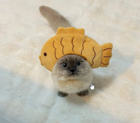 1716895081280.png