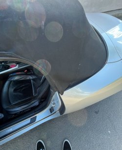 IMG_1966.jpeg