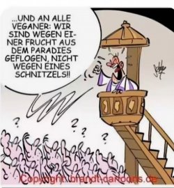 WhatsApp Bild 2024-05-30 um 07.50.52_16d790b5.jpg
