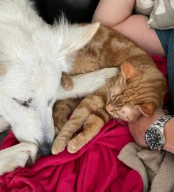 IMG_5585.jpeg