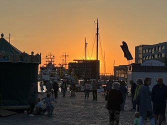 IMG_3695.jpeg