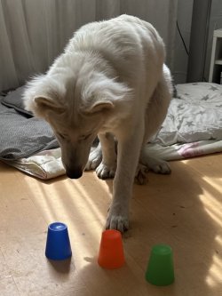 IMG_5623.jpeg