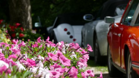 Bild 13.jpg