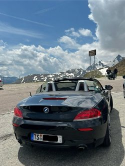IMG_3751.jpeg