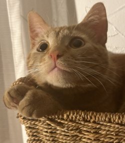 IMG_5670.jpeg