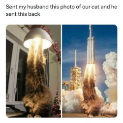 IMG_0046.jpeg