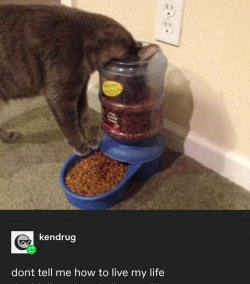 IMG_0049.jpeg