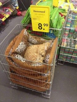 IMG_0057.jpeg