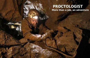More_Than_A_Job.jpg