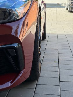 IMG_3065.jpeg
