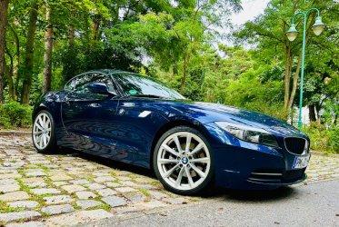 IMG_5564.jpeg IMG_5564.jpeg