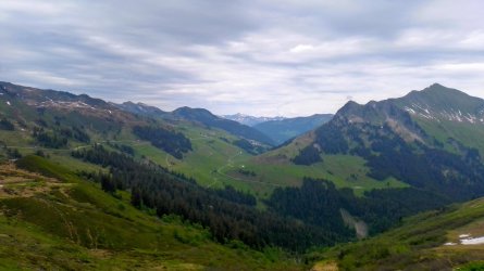 IMG_20240608_133826_HDR.jpg