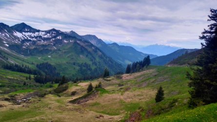 IMG_20240608_134032_HDR.jpg