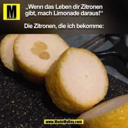FB_IMG_1711738640804.jpg
