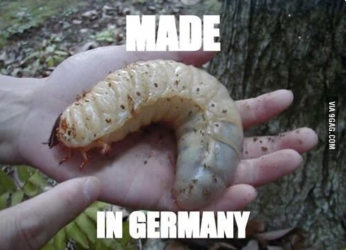 1719335552841.png