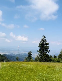 IMG_2282.jpeg